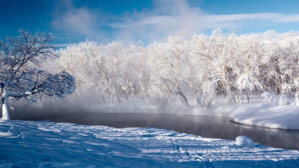 Photograph by Olga Yarovenko
