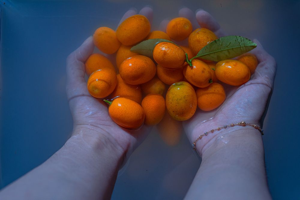 Photograph by Alireza Rezaei