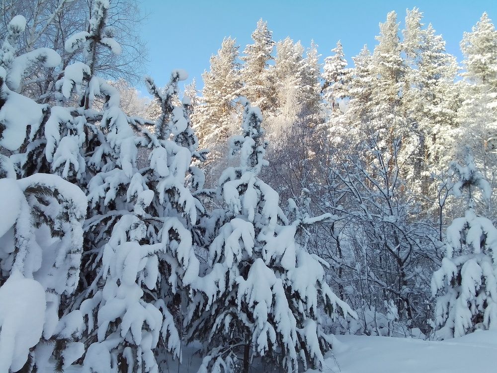 Кусочек солнца.