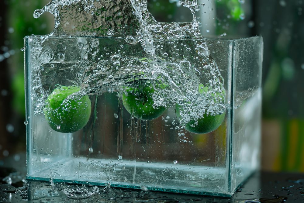 Photograph by Alireza Rezaei