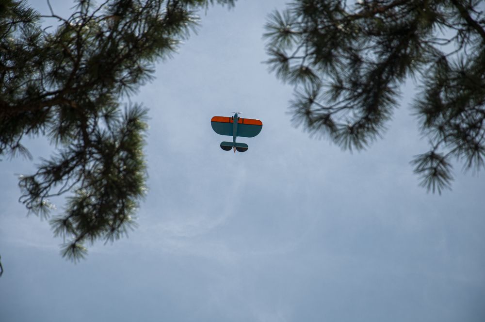 Photograph by Chamara Sulakkhana Polwatta Siriyalage