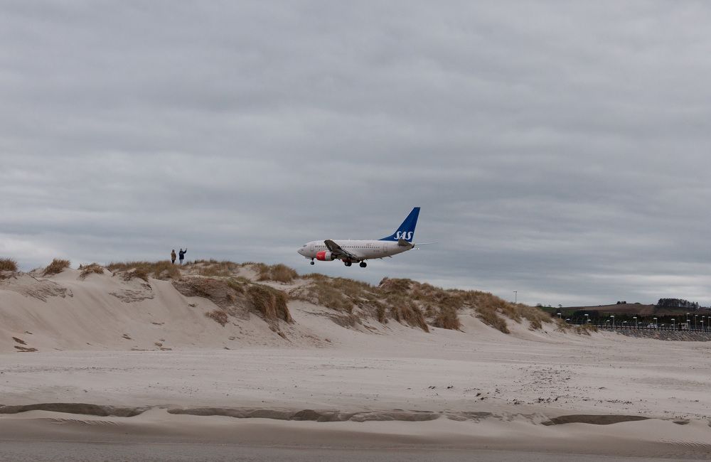 Фотография автора Irina Panina