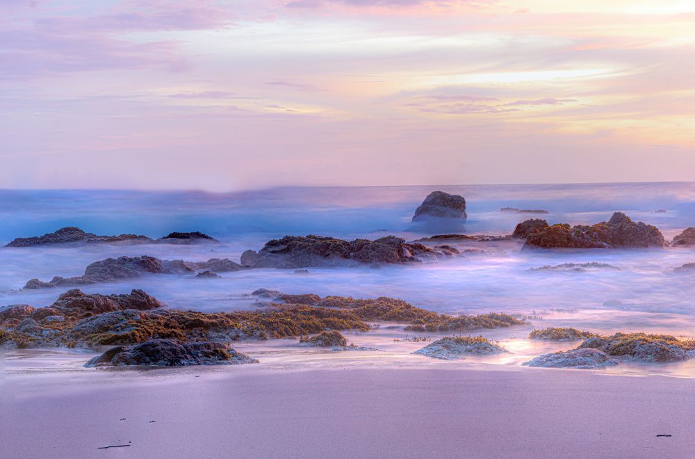 Photograph by Sonnadara Kushan Madushanka