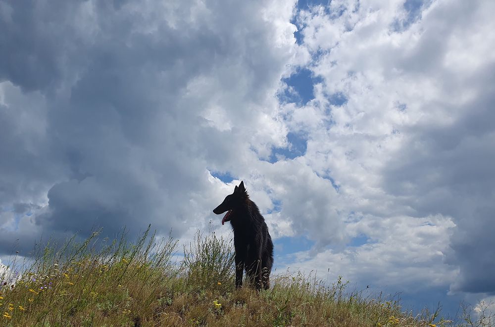 Фотография автора Надежда Лисицына