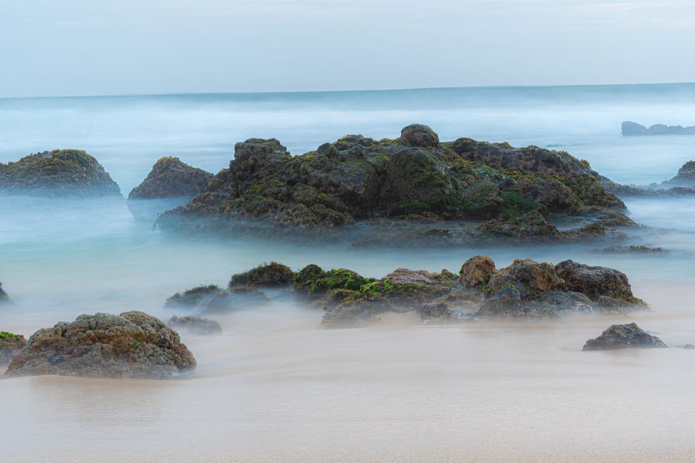 Photograph by Sonnadara Kushan Madushanka