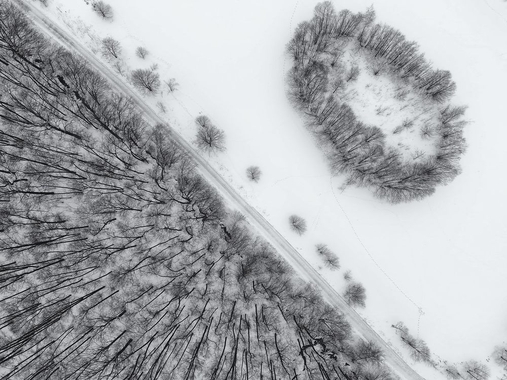 Photograph by Владислав Кравцов