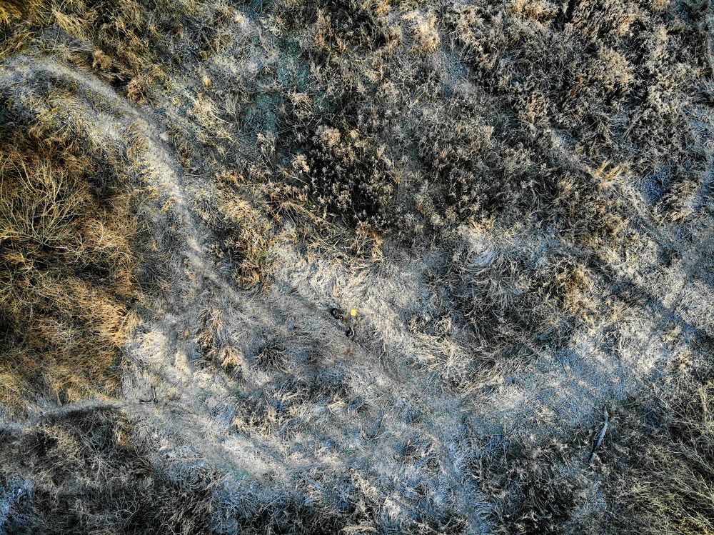 Photograph by Владислав Кравцов