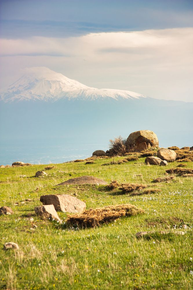 Photograph by Анастасия Павлова