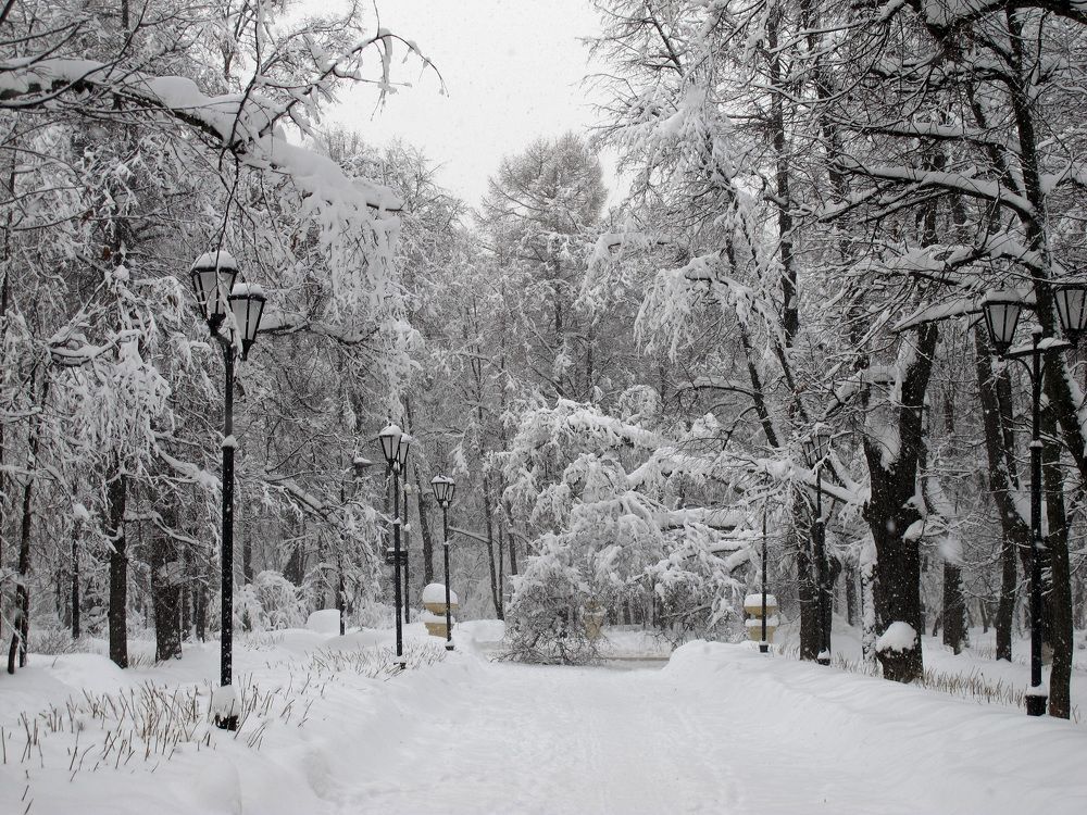 Воробьевы горы