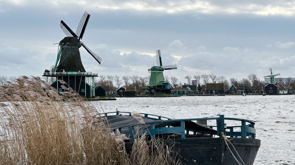 Фотография автора Julia