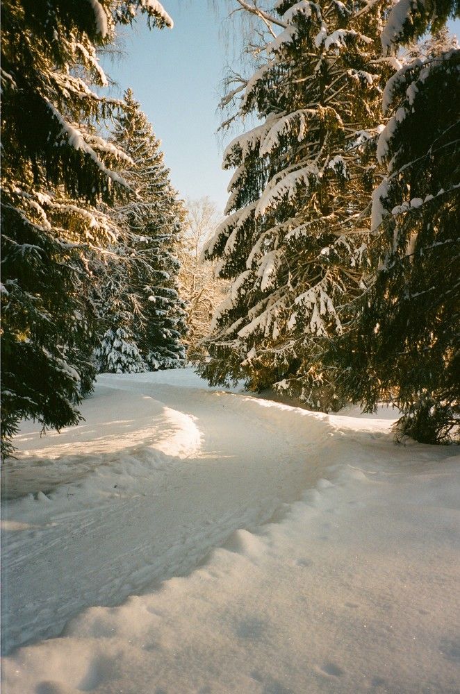 Photograph by Василий Селиванов