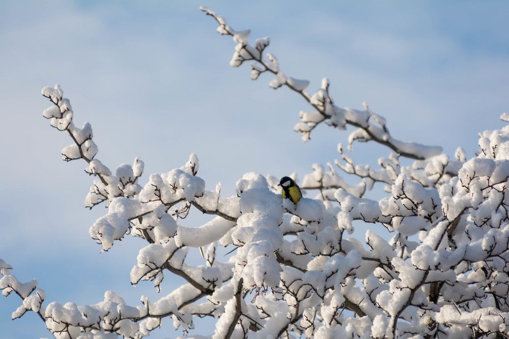 Photograph by Людмила Прибылова