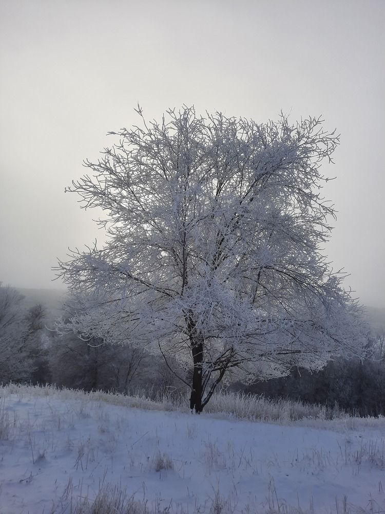 Photograph by Елена Валерьевна