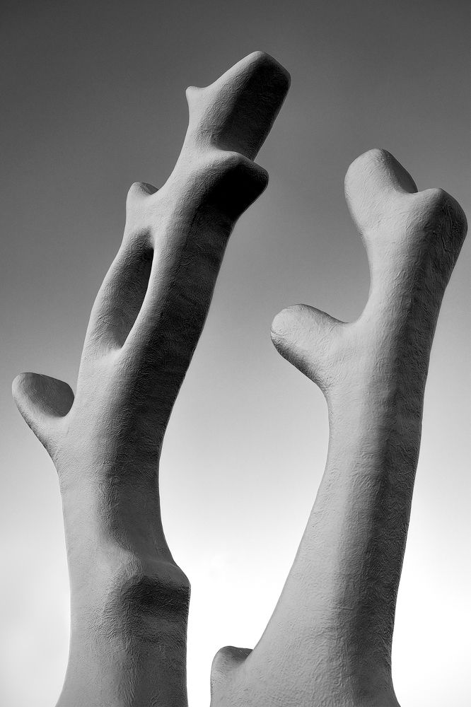 Photograph by Антон Дергунов