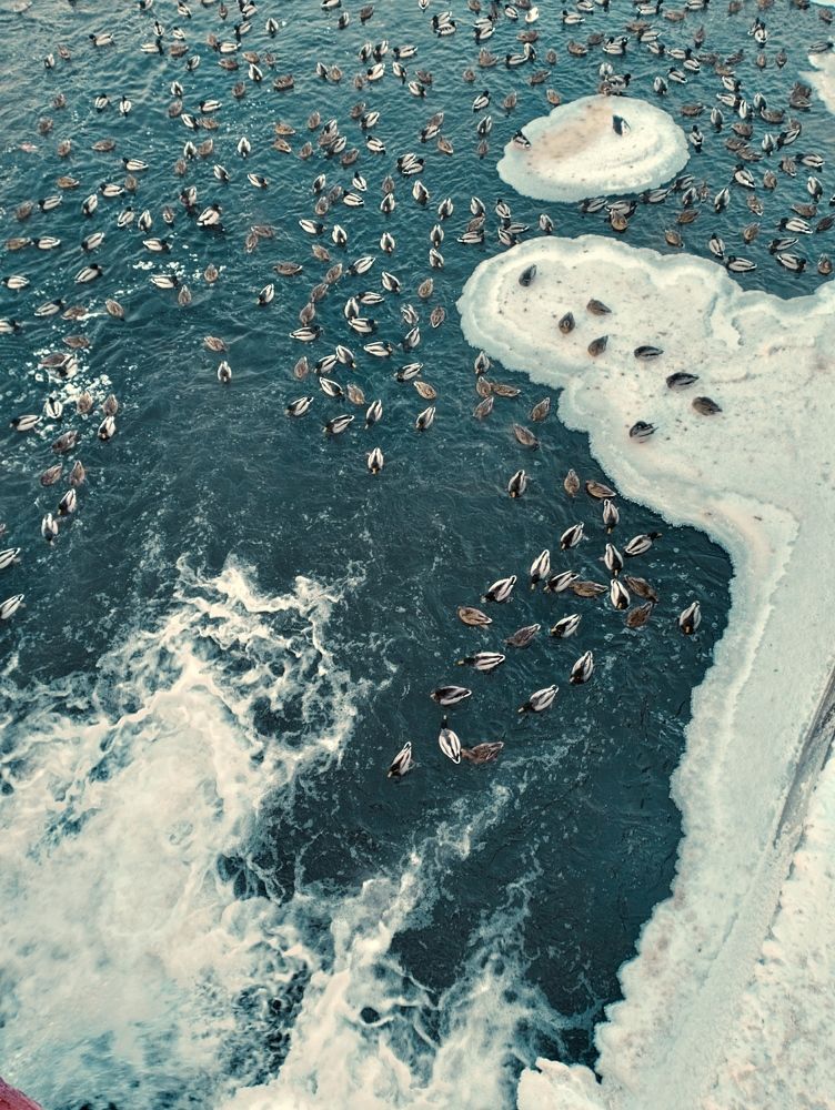 Photograph by Надежда Болтунова