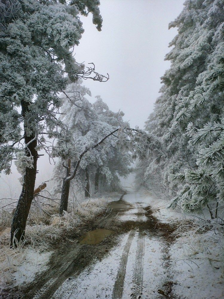Photograph by Вадим Карпов