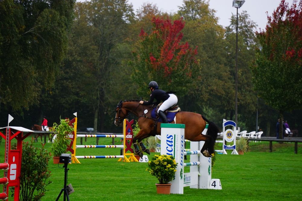 Фотография автора Ramin Ismayilov