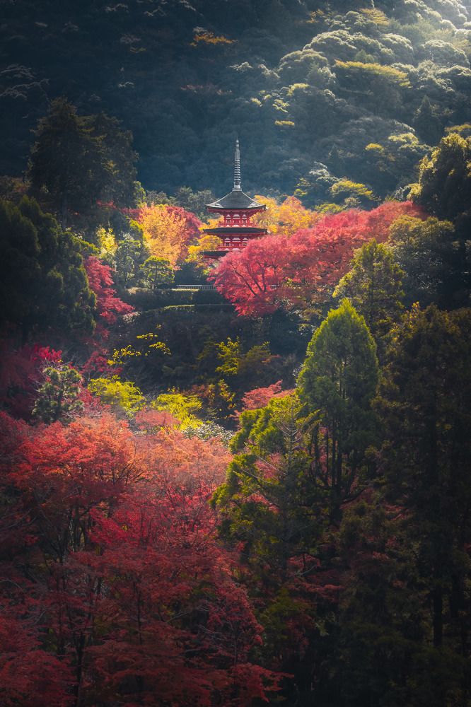 Фотография автора Andrea Bartoli