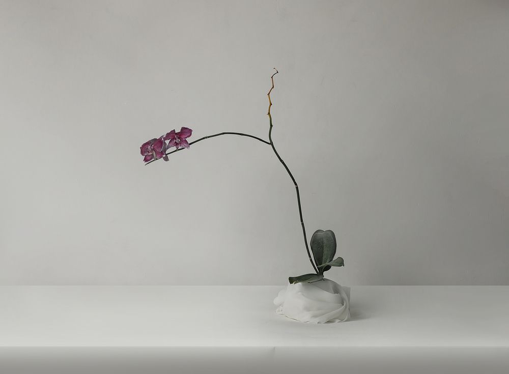 Photograph by Туева Наталья