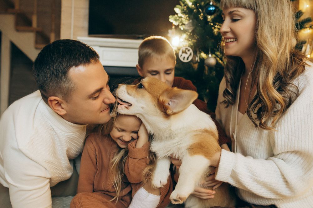 Photograph by Алеся Бутакова