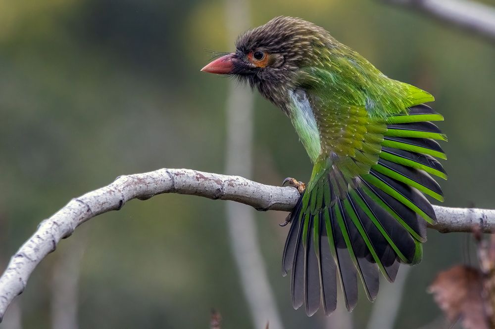 Photograph by Navjot Singh