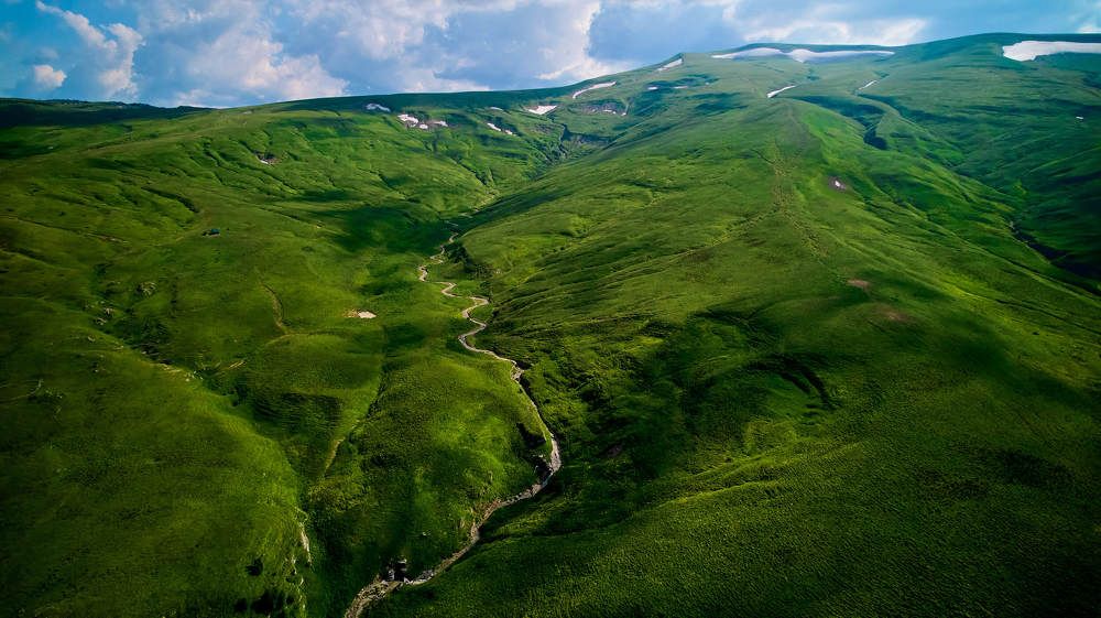 Фотография автора Totoro D