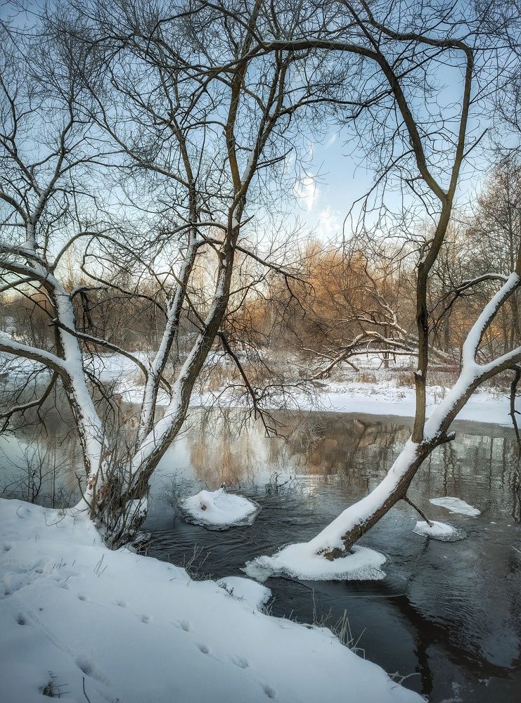Photograph by Владимир Шаруба