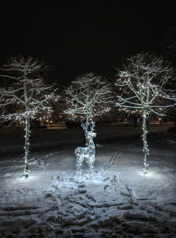 Photograph by Владимир Шаруба