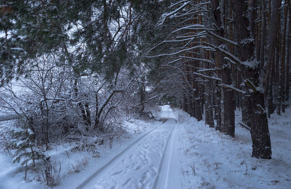 Фотография автора Эдуард Онгориев