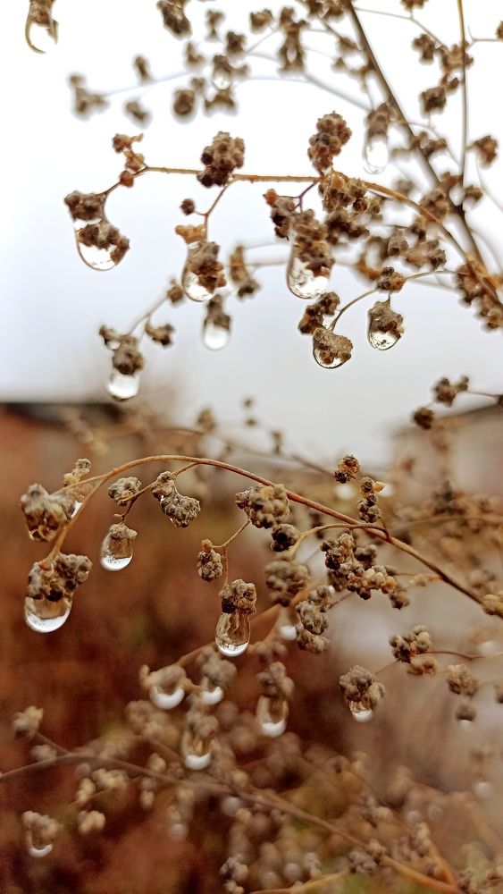 Photograph by Олеся Лосыгина