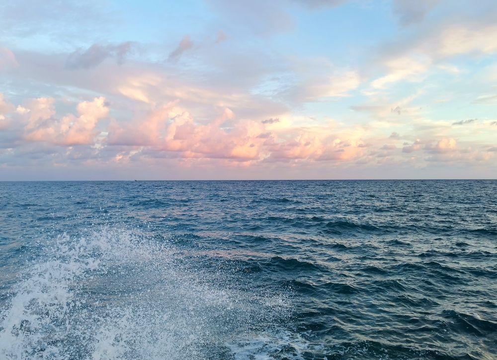 Photograph by Дарья Овчинникова