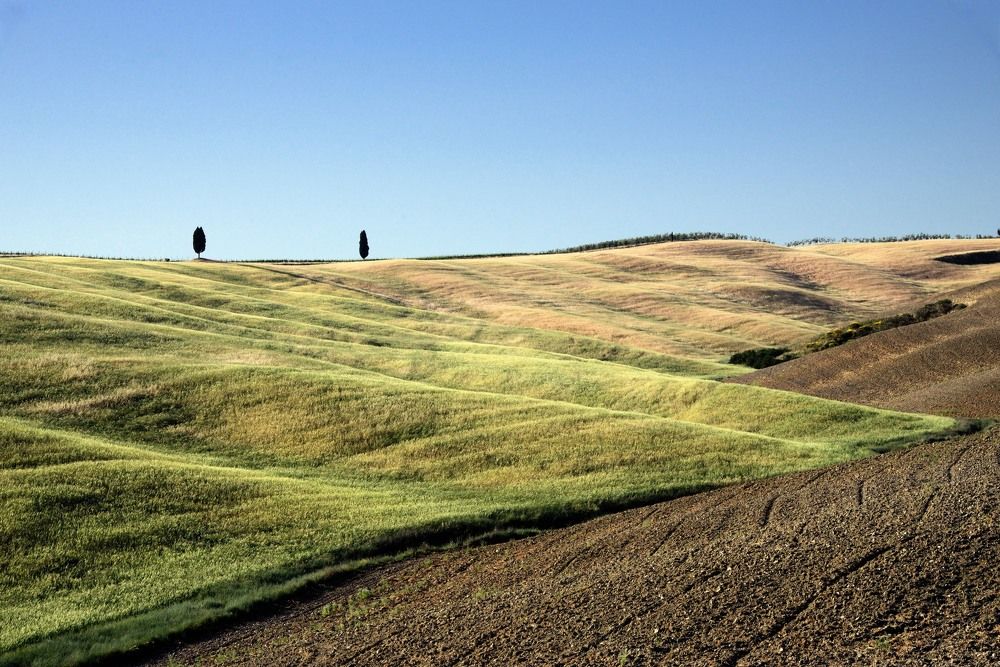 Photograph by Paolo Mola