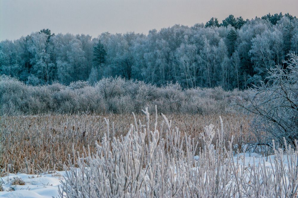 Photograph by Николай Захаров