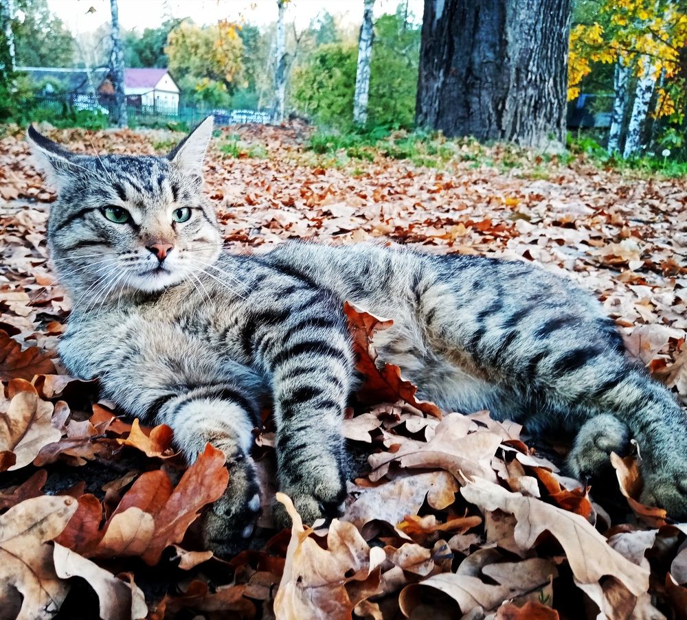 Photograph by Татьяна Пятернёва