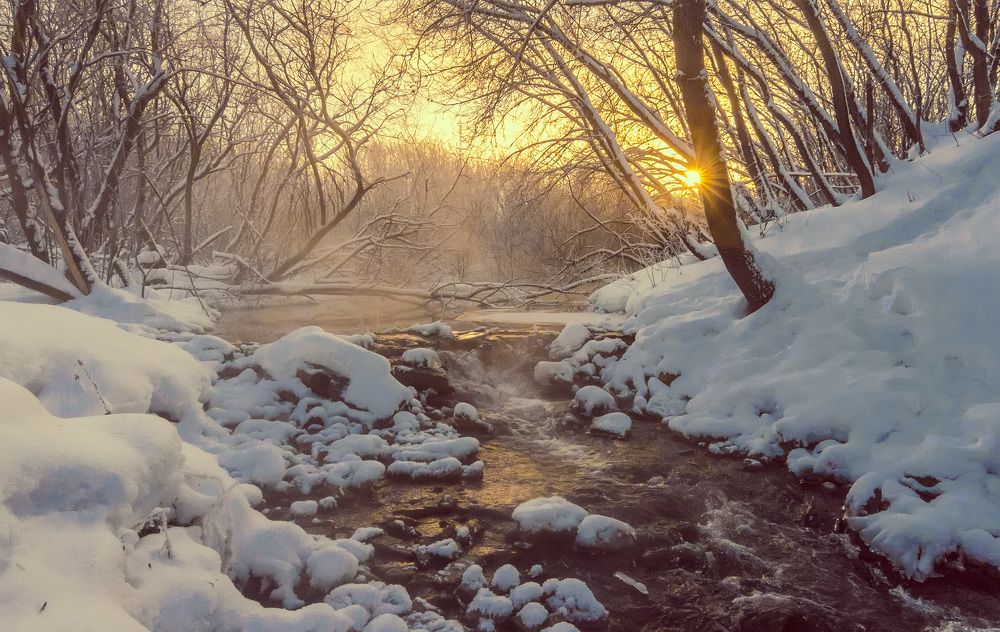 Зимний этюд