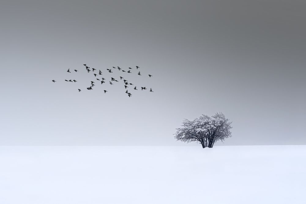 Photograph by Mehran Bagherian