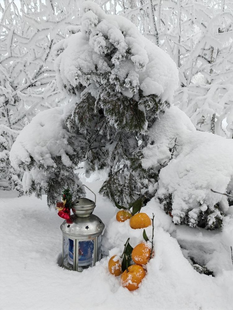 Photograph by Чкареули Светлана