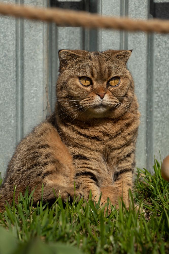 Photograph by Анжелика Сороколетова