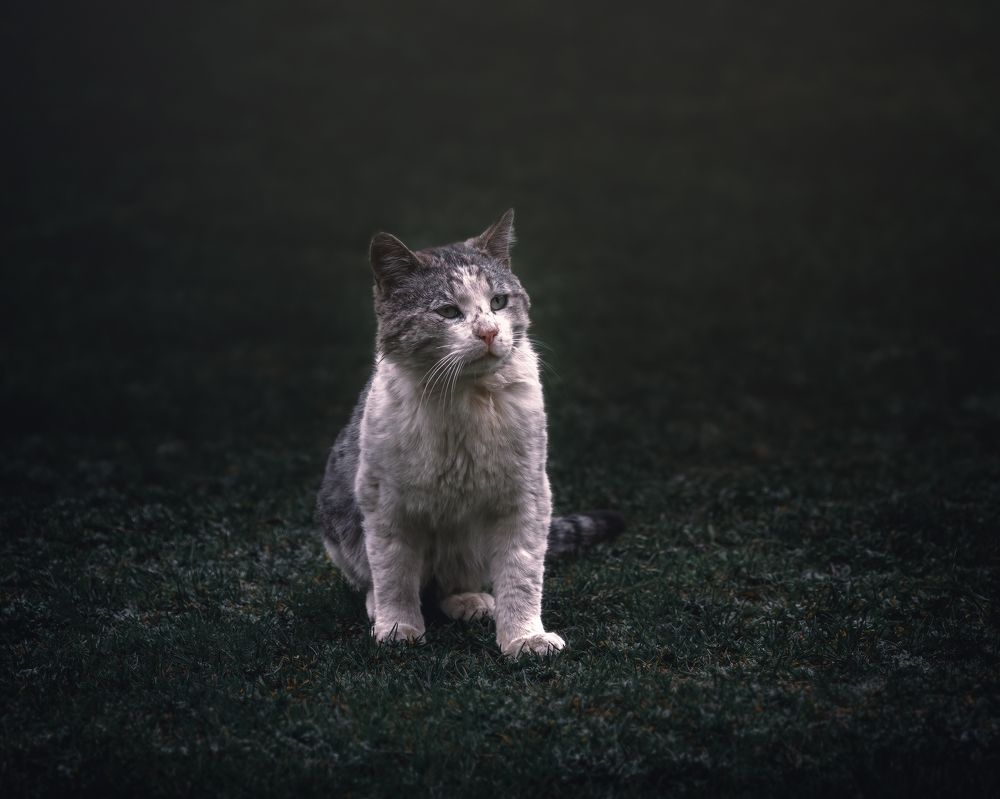 Photograph by Armen  Maitesian