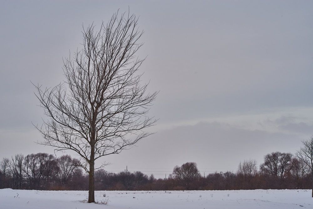 Photograph by Дмитрий Солодухин