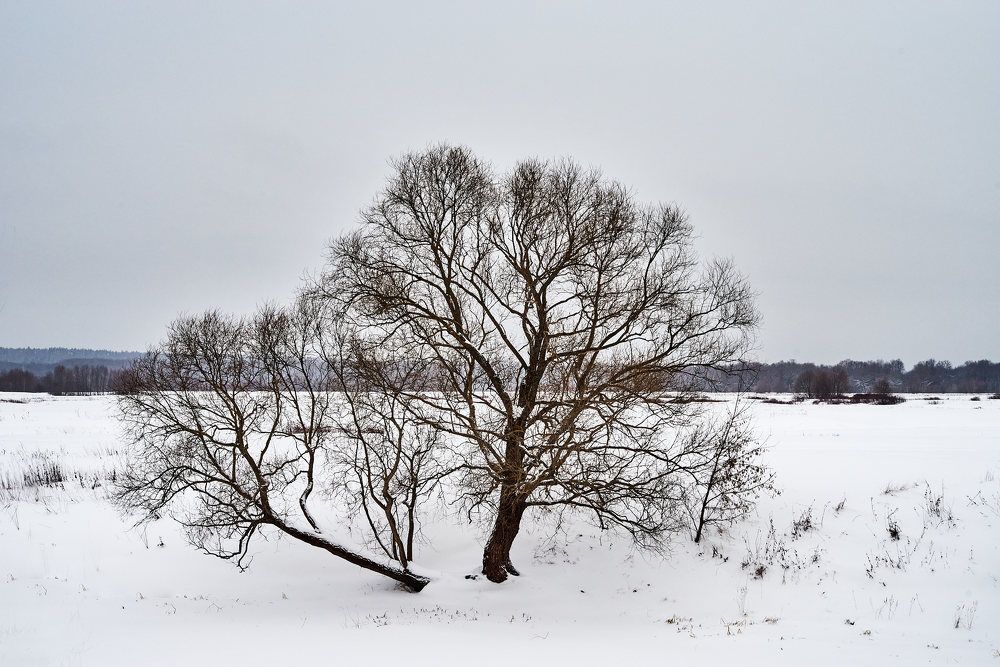 Photograph by Дмитрий Солодухин