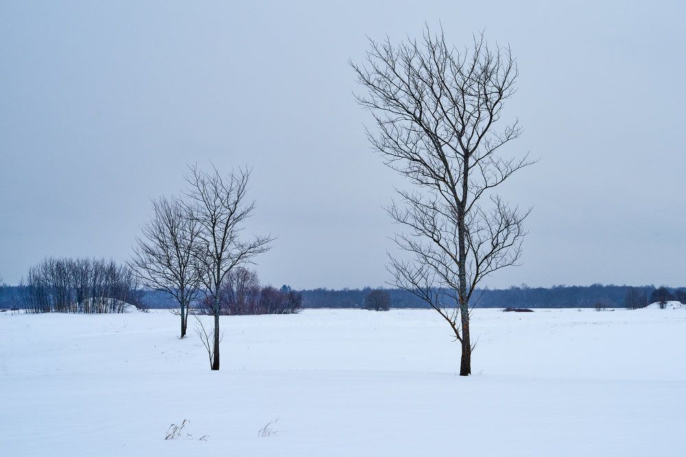 Photograph by Дмитрий Солодухин