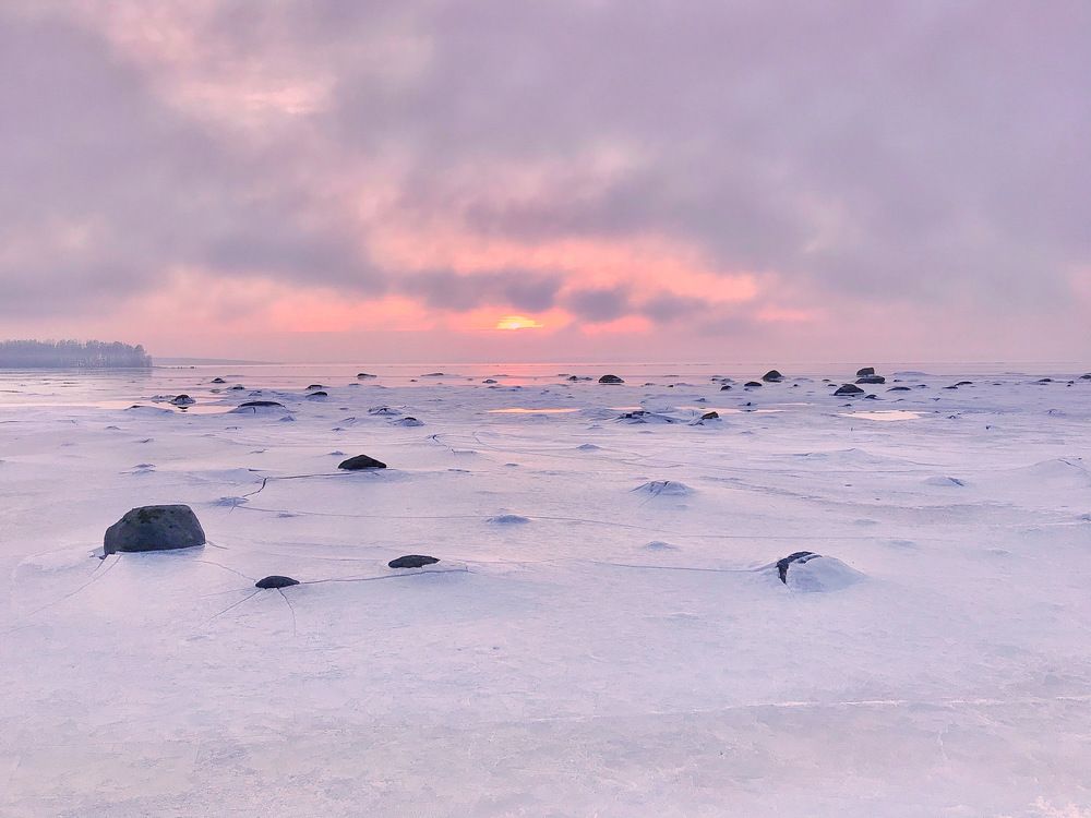 Photograph by Janina Segeda