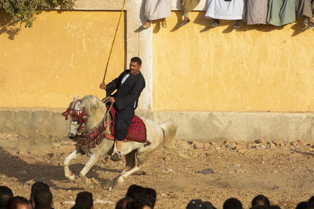 Photograph by Mohamed Dakrony