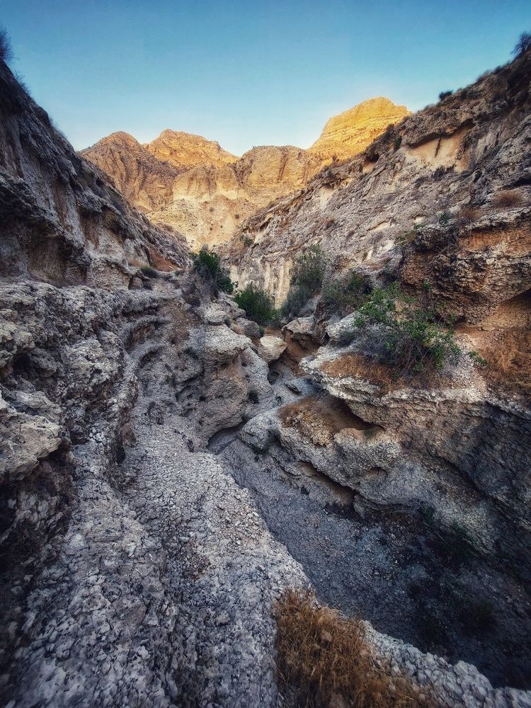 Photograph by aref rafiepour