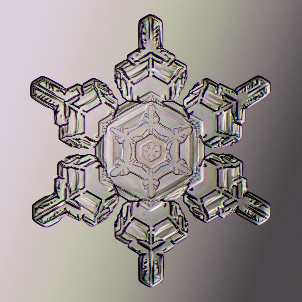 Photograph by Тимофей Черепанов