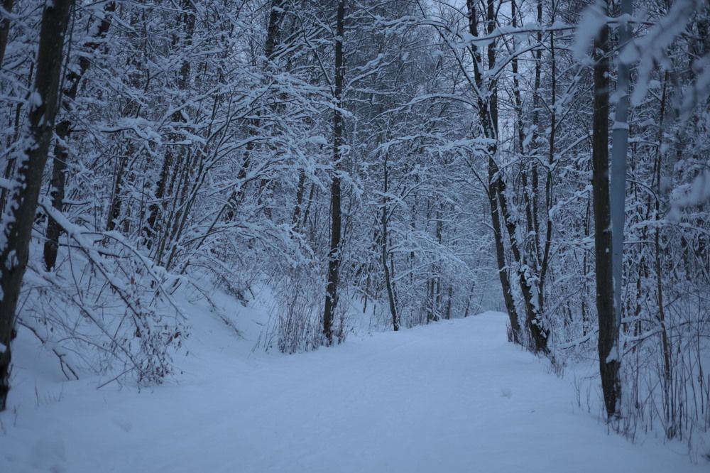 Photograph by Савиных Дарья