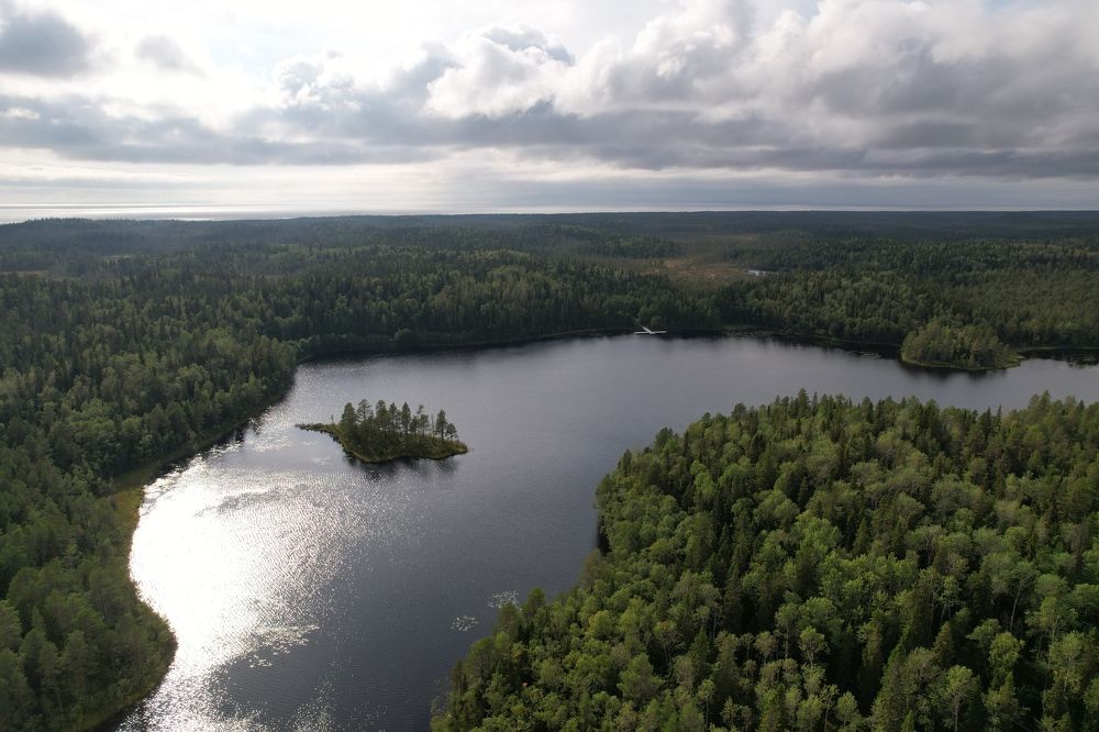 Фотография автора Колосова Елена