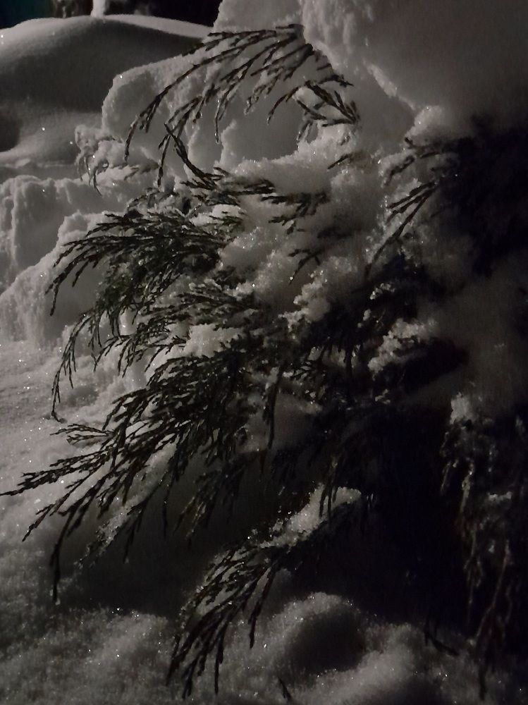 Photograph by Лидия