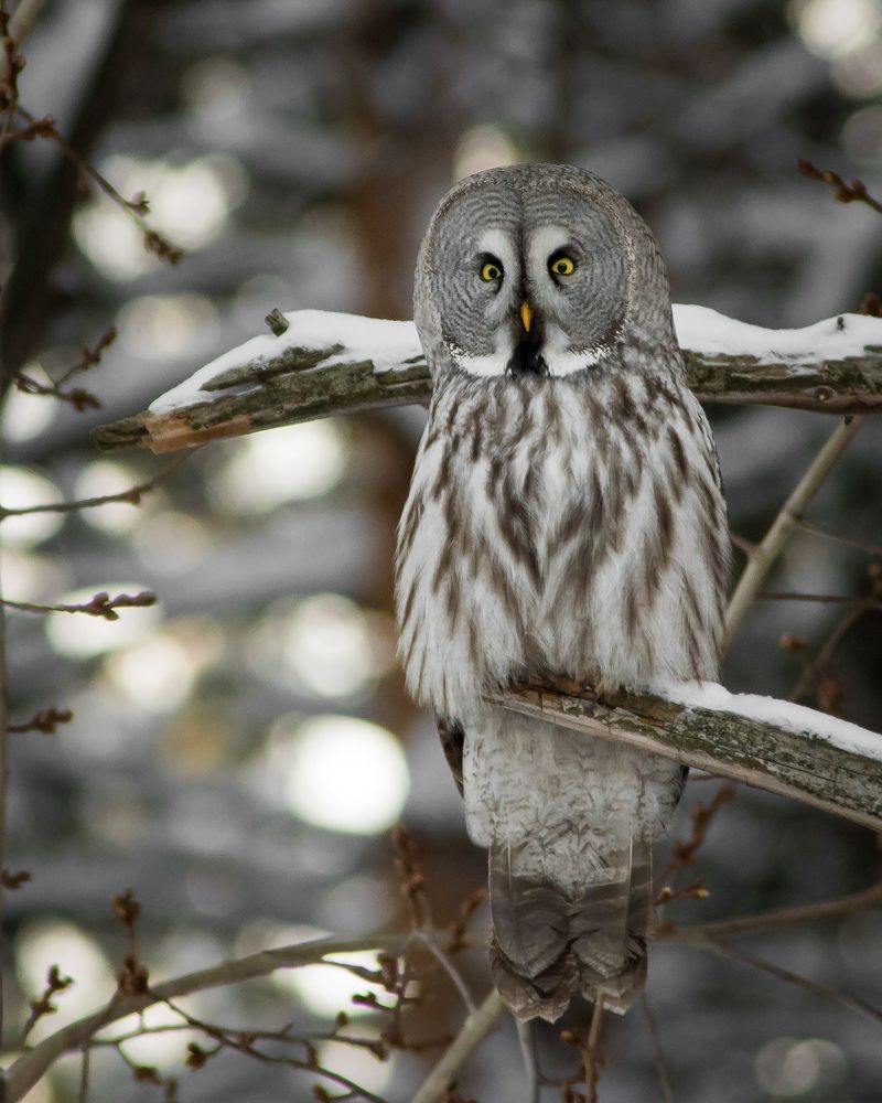 Фотография автора Суслов Дмитрий